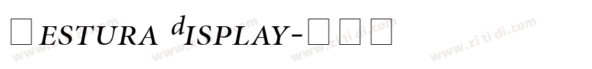 Gestura Display字体转换